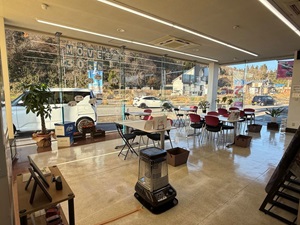 観葉植物が仲間入り🍃